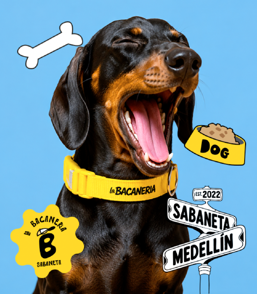 La Bacanería